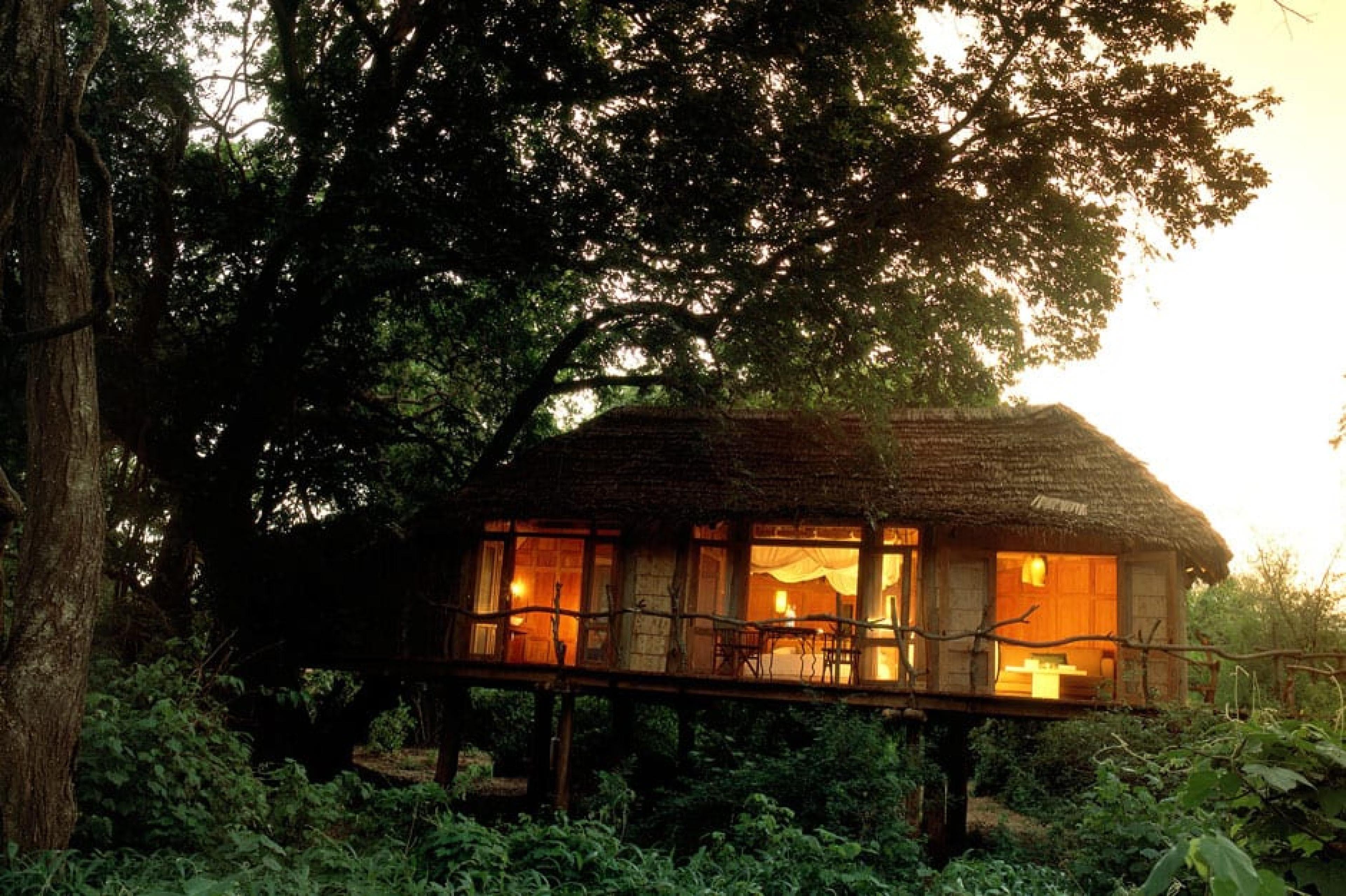 Lake Manyara Tree Lodge