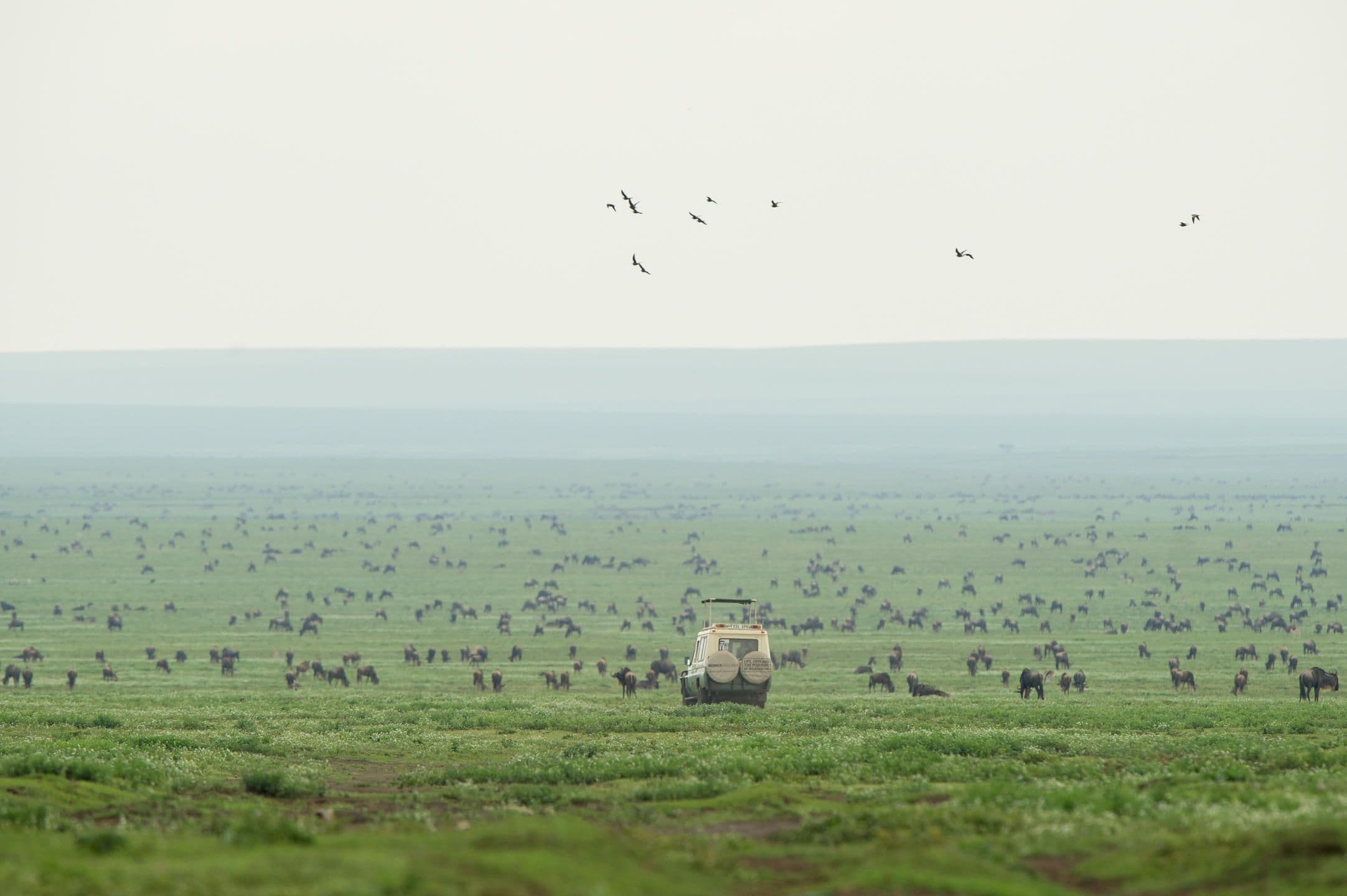 Magical Tanzania